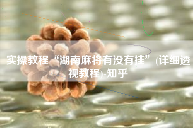 实操教程“湖南麻将有没有挂”(详细透视教程)-知乎