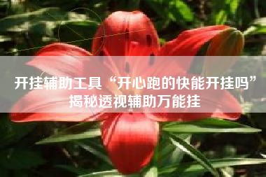 开挂辅助工具“开心跑的快能开挂吗”揭秘透视辅助万能挂