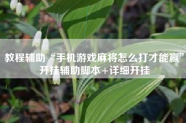 教程辅助“手机游戏麻将怎么打才能赢”开挂辅助脚本+详细开挂