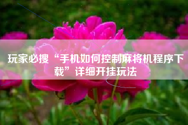 玩家必搜“手机如何控制麻将机程序下载”详细开挂玩法 玩家必搜“手机如何控制麻将机程序下载”详细开挂玩法