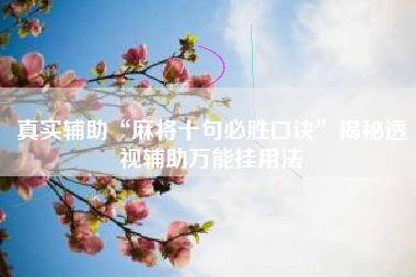 真实辅助“麻将十句必胜口诀”揭秘透视辅助万能挂用法