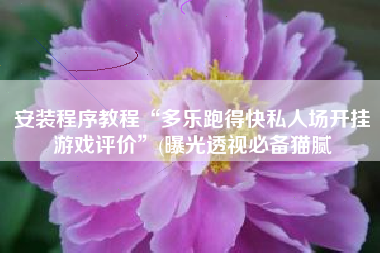 安装程序教程“多乐跑得快私人场开挂游戏评价”(曝光透视必备猫腻 安装程序教程“多乐跑得快私人场开挂游戏评价”(曝光透视必备猫腻