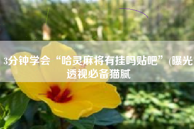 3分钟学会“哈灵麻将有挂吗贴吧”(曝光透视必备猫腻