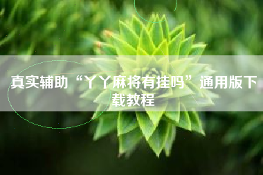 真实辅助“丫丫麻将有挂吗”通用版下载教程