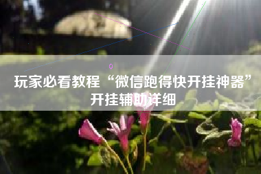 玩家必看教程“微信跑得快开挂神器”开挂辅助详细