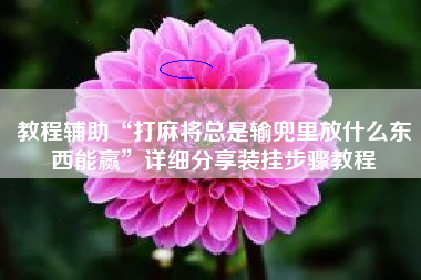 教程辅助“打麻将总是输兜里放什么东西能赢”详细分享装挂步骤教程