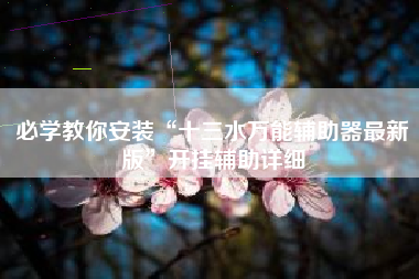 必学教你安装“十三水万能辅助器最新版”开挂辅助详细
