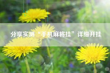 分享实测“手机麻将挂”详细开挂