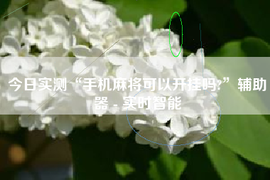 今日实测“手机麻将可以开挂吗?”辅助器 - 实时智能 今日实测“手机麻将可以开挂吗?”辅助器 - 实时智能