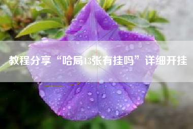 教程分享“哈局13张有挂吗”详细开挂 教程分享“哈局13张有挂吗”详细开挂