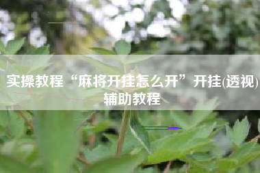 实操教程“麻将开挂怎么开”开挂(透视)辅助教程