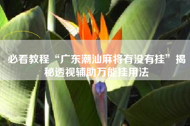 必看教程“广东潮汕麻将有没有挂”揭秘透视辅助万能挂用法 必看教程“广东潮汕麻将有没有挂”揭秘透视辅助万能挂用法