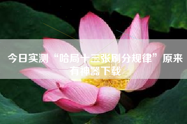 今日实测“哈局十三张刷分规律”原来有神器下载