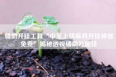 辅助开挂工具“中至上饶麻将开挂神器免费”揭秘透视辅助万能挂