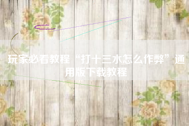 玩家必看教程“打十三水怎么作弊”通用版下载教程