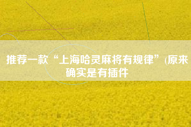 推荐一款“上海哈灵麻将有规律”(原来确实是有插件