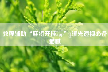 教程辅助“麻将开挂app”(曝光透视必备猫腻
