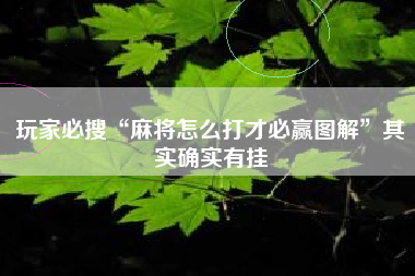 玩家必搜“麻将怎么打才必赢图解”其实确实有挂 玩家必搜“麻将怎么打才必赢图解”其实确实有挂