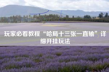 玩家必看教程“哈局十三张一直输”详细开挂玩法