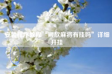 安装程序教程“顺欣麻将有挂吗”详细开挂 安装程序教程“顺欣麻将有挂吗”详细开挂