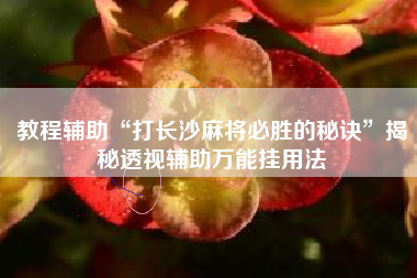 教程辅助“打长沙麻将必胜的秘诀”揭秘透视辅助万能挂用法 教程辅助“打长沙麻将必胜的秘诀”揭秘透视辅助万能挂用法