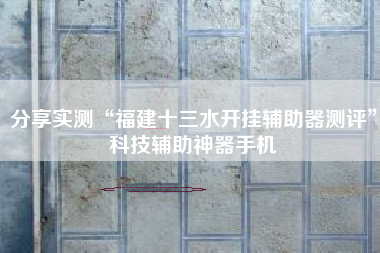 分享实测“福建十三水开挂辅助器测评”科技辅助神器手机