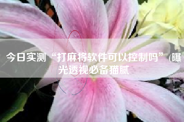 今日实测“打麻将软件可以控制吗”(曝光透视必备猫腻