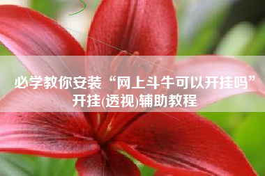 必学教你安装“网上斗牛可以开挂吗”开挂(透视)辅助教程
