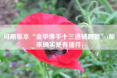 可用版本“金华佛手十三道辅助器”(原来确实是有插件) 可用版本“金华佛手十三道辅助器”(原来确实是有插件)