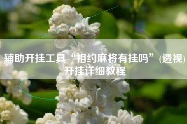 辅助开挂工具“相约麻将有挂吗”(透视)开挂详细教程