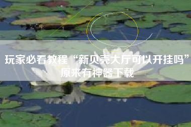 玩家必看教程“新贝壳大厅可以开挂吗”原来有神器下载