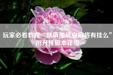 玩家必看教程“陕麻圈延安麻将有挂么”附开挂脚本详细