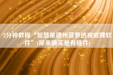 3分钟教程“智慧星德州菠萝透视底牌软件”(原来确实是有插件)