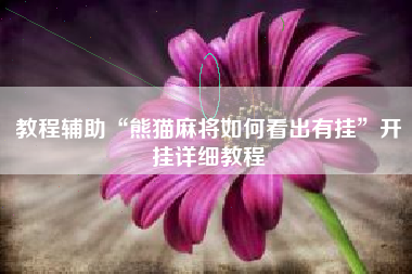 教程辅助“熊猫麻将如何看出有挂”开挂详细教程