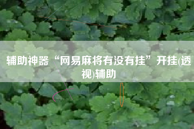 辅助神器“网易麻将有没有挂”开挂(透视)辅助 辅助神器“网易麻将有没有挂”开挂(透视)辅助