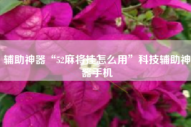 辅助神器“52麻将挂怎么用”科技辅助神器手机