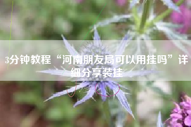 3分钟教程“河南朋友局可以用挂吗”详细分享装挂