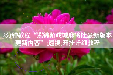 3分钟教程“紫锦游戏城麻将挂最新版本更新内容”(透视)开挂详细教程 3分钟教程“紫锦游戏城麻将挂最新版本更新内容”(透视)开挂详细教程