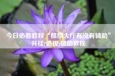 今日必看教程“麒麟大厅有没有辅助”开挂(透视)辅助教程 今日必看教程“麒麟大厅有没有辅助”开挂(透视)辅助教程