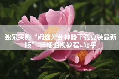 独家实测“闲逸外卦神器下载安装最新版”(详细透视教程)-知乎