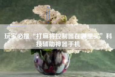 玩家必搜“打麻将控制器在哪里买”科技辅助神器手机