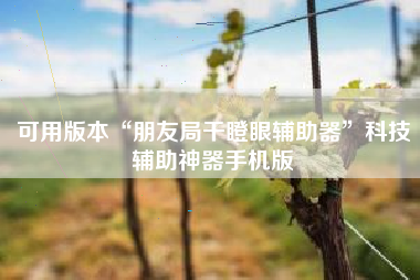 可用版本“朋友局干瞪眼辅助器”科技辅助神器手机版 可用版本“朋友局干瞪眼辅助器”科技辅助神器手机版