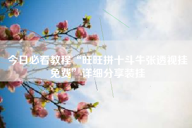 今日必看教程“旺旺拼十斗牛张透视挂免费”详细分享装挂