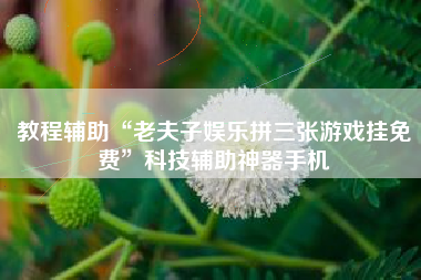 教程辅助“老夫子娱乐拼三张游戏挂免费”科技辅助神器手机