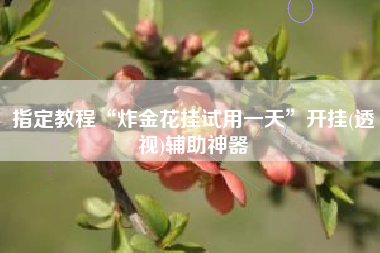 指定教程“炸金花挂试用一天”开挂(透视)辅助神器