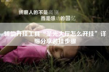 辅助开挂工具“圣光大厅怎么开挂”详细分享装挂步骤