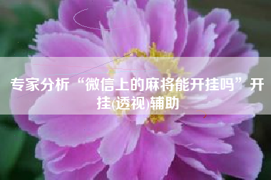 专家分析“微信上的麻将能开挂吗”开挂(透视)辅助