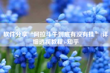 软件分享“阿拉斗牛到底有没有挂”(详细透视教程)-知乎