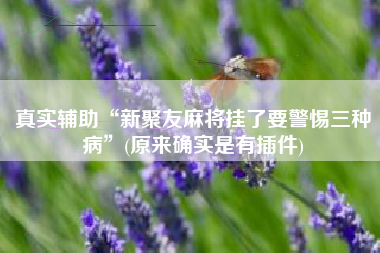 真实辅助“新聚友麻将挂了要警惕三种病”(原来确实是有插件)