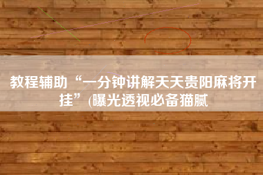 教程辅助“一分钟讲解天天贵阳麻将开挂”(曝光透视必备猫腻